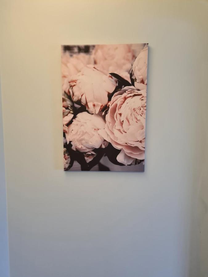 Harbour House Budget Accommodation 슬라이고 외부 사진